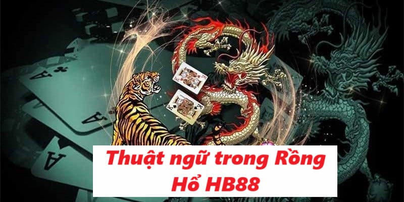 Những thuật ngữ thường gặp trong Rồng Hổ HB88